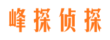 陆良市调查公司